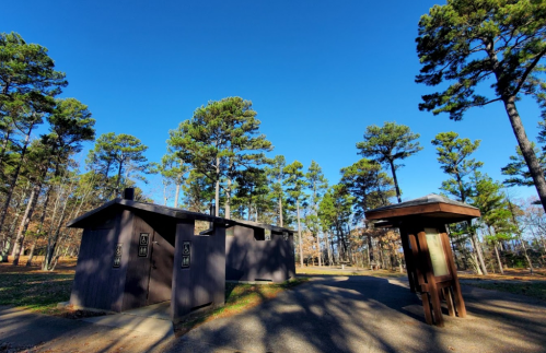 Two restroom buildings surrounded by tall pine trees under a clear blue sky.