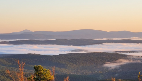 A serene landscape of rolling hills and mountains above a sea of fog at sunrise, with soft pastel colors in the sky.