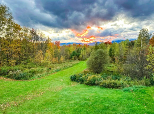 A scenic view of a green landscape with trees and a colorful sunset behind dark clouds.