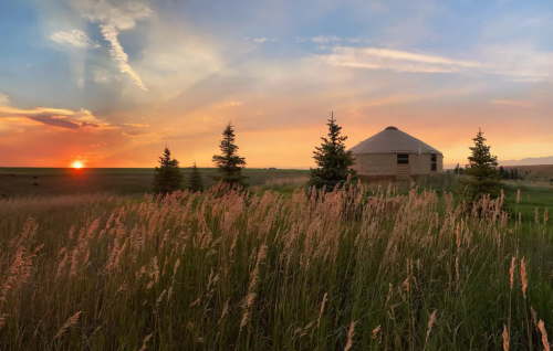 A serene sunset over a grassy field, with a yurt and evergreen trees silhouetted against the colorful sky.