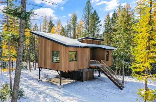 A modern wooden cabin in a snowy forest, surrounded by tall trees with autumn foliage under a blue sky.