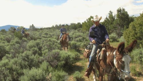 A group of riders on horseback navigating through a lush, green landscape under a partly cloudy sky.