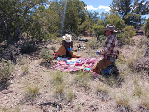 Two people in cowboy hats sitting on a blanket in a desert landscape, surrounded by shrubs and trees.
