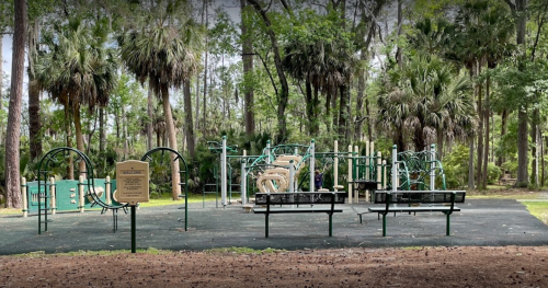 A fitness area in a wooded park, featuring exercise equipment and benches surrounded by trees and greenery.