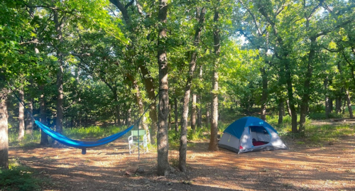 A serene campsite in a forest with a blue hammock, a chair, and a tent surrounded by lush green trees.