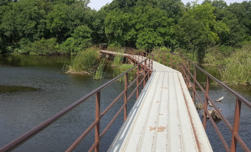 A metal walkway curves over a calm body of water, surrounded by lush greenery and tall grasses.