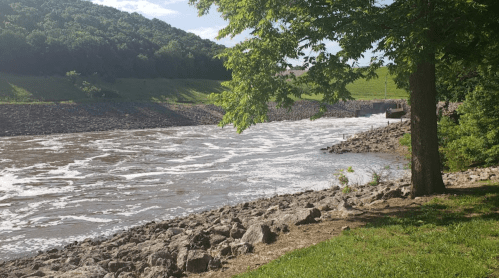 A river flows past a rocky shore, surrounded by green hills and trees under a clear blue sky.