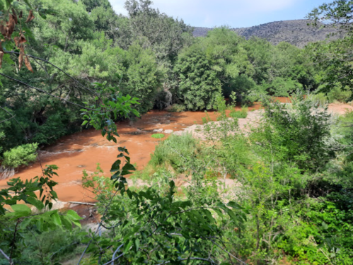 A serene river flows through a lush green landscape, surrounded by trees and hills under a clear blue sky.
