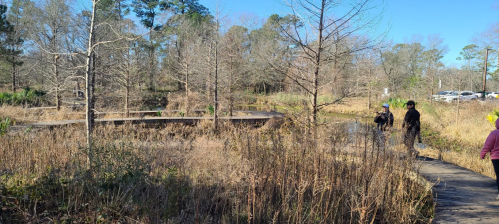 A wooden path through a natural area with trees and dry grass, with people walking in the background.