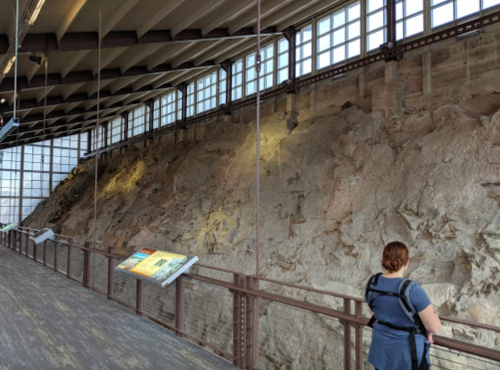 A person stands on a walkway, observing a large rock formation illuminated by natural light through windows.