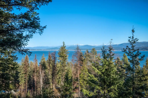 A serene view of a lake surrounded by evergreen trees and distant mountains under a clear blue sky.