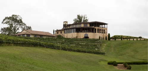 A vineyard with a large, elegant building on a hillside, surrounded by lush green grapevines under a cloudy sky.