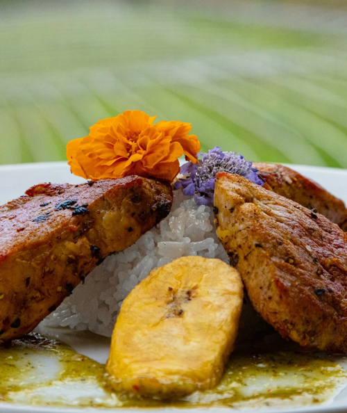 A plate of grilled chicken, rice, and fried plantains, garnished with orange flowers and herbs.