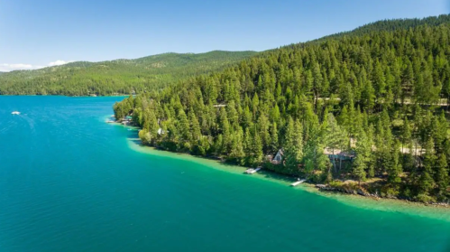 Aerial view of a serene lake surrounded by lush green forests and a clear blue sky.