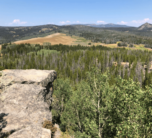 A scenic view from a rocky outcrop overlooking a lush valley and distant mountains under a clear blue sky.