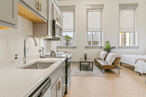Modern kitchen with gray cabinets, stainless steel appliances, and a cozy living area featuring a sofa and plants.