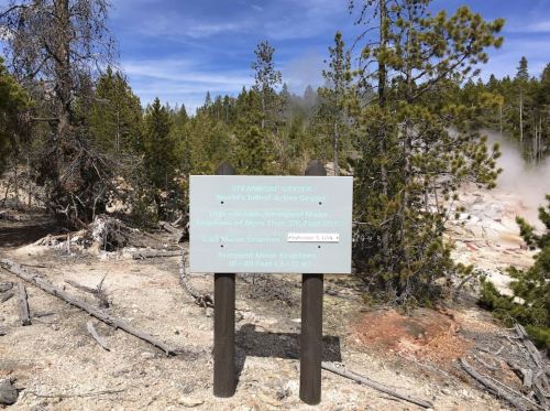 A signpost in a forested area, with trees and steam rising in the background, indicating a geothermal site.