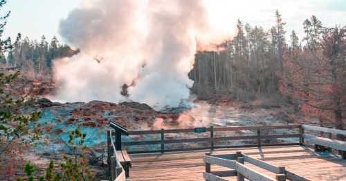 A wooden viewing platform overlooks a geothermal area with steam rising among trees in a natural landscape.