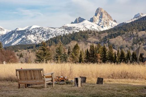 A wooden bench overlooks a snowy mountain range, surrounded by tall grass and trees under a clear sky.