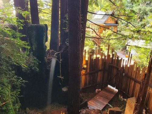 A serene forest scene featuring a waterfall, tall trees, and a rustic wooden fence leading to a cozy cabin.