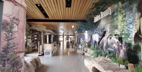 Interior of a nature-themed exhibit featuring wildlife murals and natural decor, creating an immersive environment.
