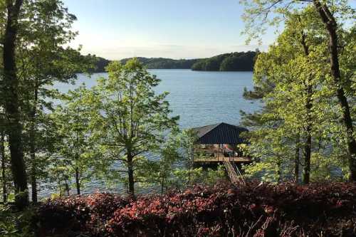 A serene lake view framed by trees, featuring a dock extending into the water under a clear blue sky.