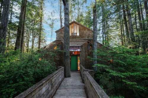 A wooden cabin surrounded by tall trees, with a bridge leading to a green door and large windows.