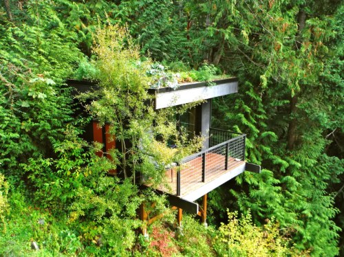 A modern treehouse nestled among lush green trees, featuring a balcony and a rooftop garden.