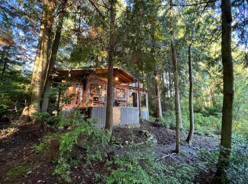 A cozy wooden cabin nestled among tall trees in a lush forest setting.