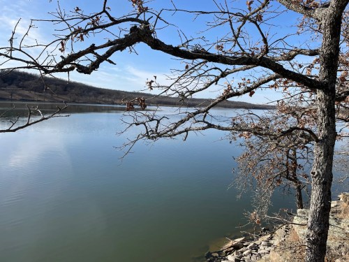 A serene lake view framed by bare branches under a clear blue sky, with gentle ripples on the water's surface.