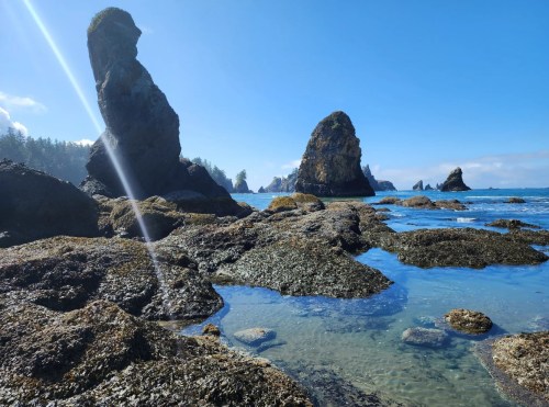 Rocky coastline with towering sea stacks under a clear blue sky and calm waters, surrounded by lush greenery.