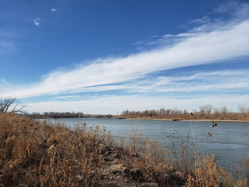 A serene river flows through a landscape of dry grass and trees under a blue sky with wispy clouds.