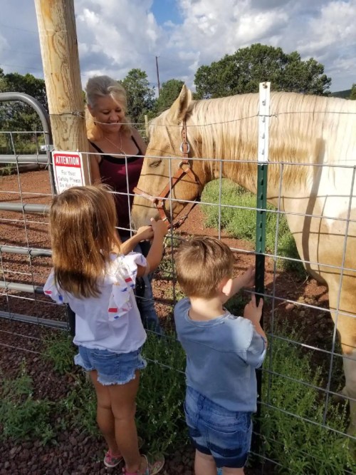 A woman and two children interact with a horse at a fenced area, with trees and a cloudy sky in the background.