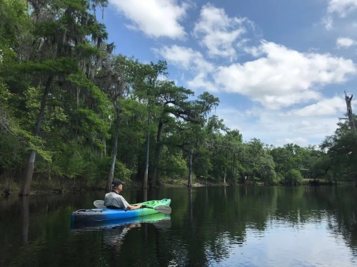 A person in a kayak paddles on a calm river surrounded by lush green trees and a blue sky with fluffy clouds.