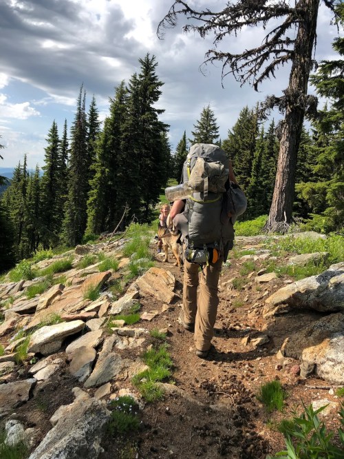 A hiker with a large backpack walks along a rocky trail surrounded by tall trees and a cloudy sky.