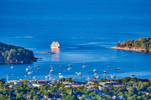 A scenic view of a harbor with a tall ship and various boats, surrounded by lush greenery and blue waters.