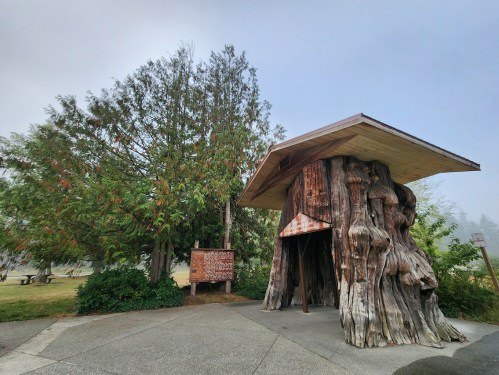 A unique wooden structure resembling a tree trunk, with a sloped roof, surrounded by greenery and a sign nearby.