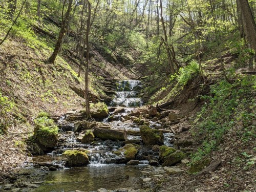A serene forest scene featuring a small waterfall cascading over rocks, surrounded by lush greenery and trees.