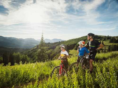 A man and two children on mountain bikes, enjoying a scenic view of green hills and mountains under a blue sky.