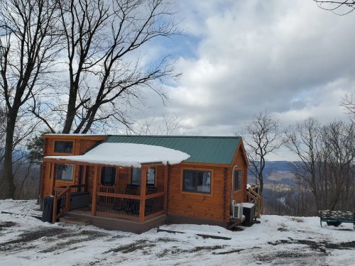 A cozy wooden cabin with a green roof, surrounded by snow and bare trees, set against a cloudy sky.