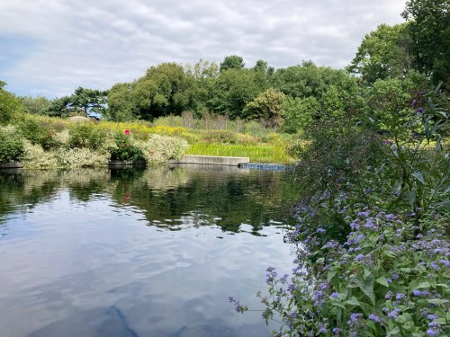A serene pond surrounded by lush greenery and colorful flowers under a cloudy sky.