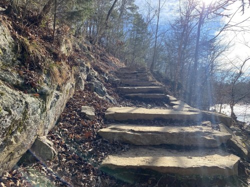 Stone steps lead up a wooded hillside, surrounded by trees and fallen leaves, under a bright blue sky.