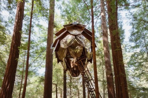 A unique treehouse resembling a geometric structure, nestled among tall redwood trees in a lush forest.