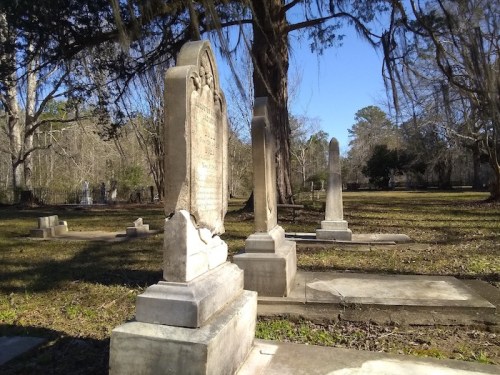 A peaceful cemetery scene with several gravestones surrounded by trees and grass under a clear blue sky.