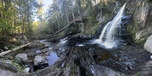 A serene waterfall cascades over rocks, surrounded by lush trees and a tranquil forest landscape.
