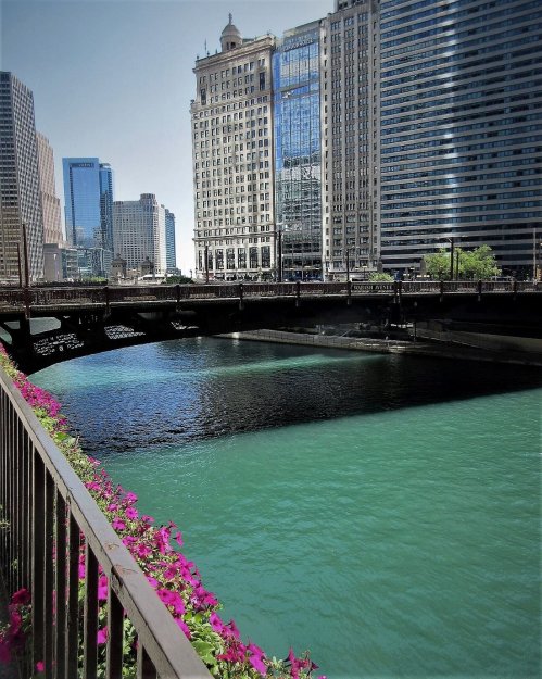 A view of a river with turquoise water, flanked by buildings and flowers along the railing in an urban setting.