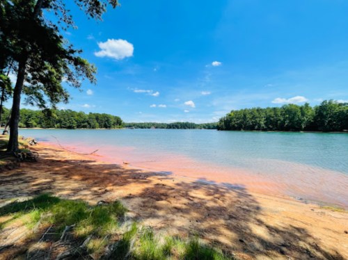 A serene lake scene with clear blue water, sandy shore, and lush green trees under a bright blue sky.