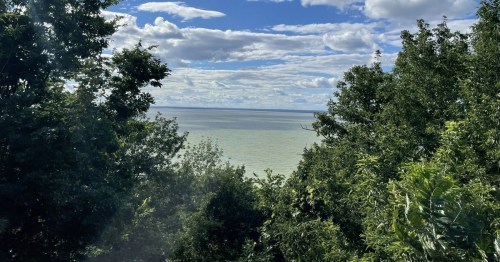 A scenic view of a calm lake surrounded by lush green trees under a partly cloudy sky.