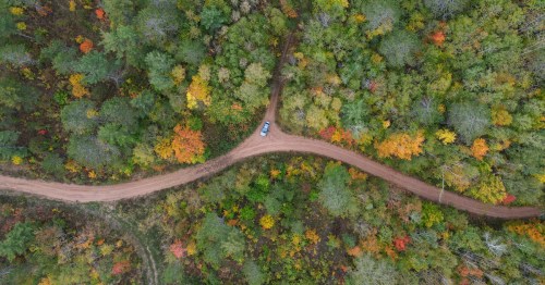 Aerial view of a winding dirt road through a vibrant forest with autumn foliage in various colors.