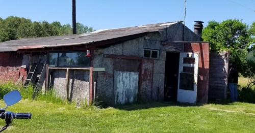 A weathered, rustic shed with a slanted roof, surrounded by tall grass and trees under a clear blue sky.
